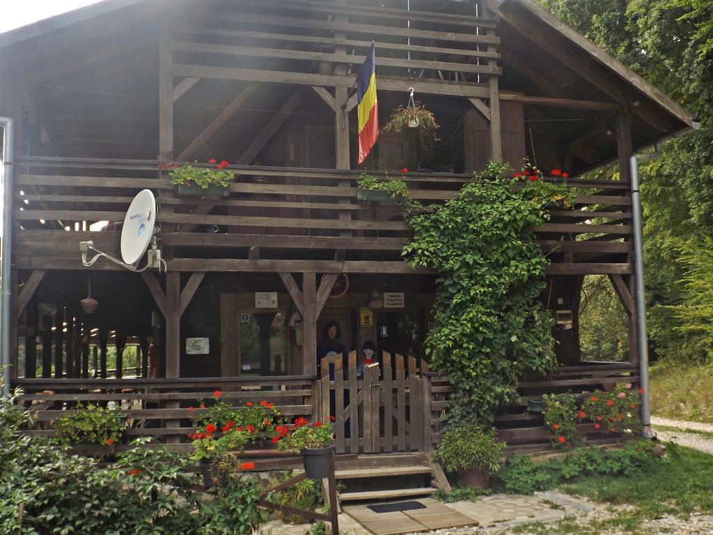 Hotel Cabana La Noi Rîşnov Exterior foto